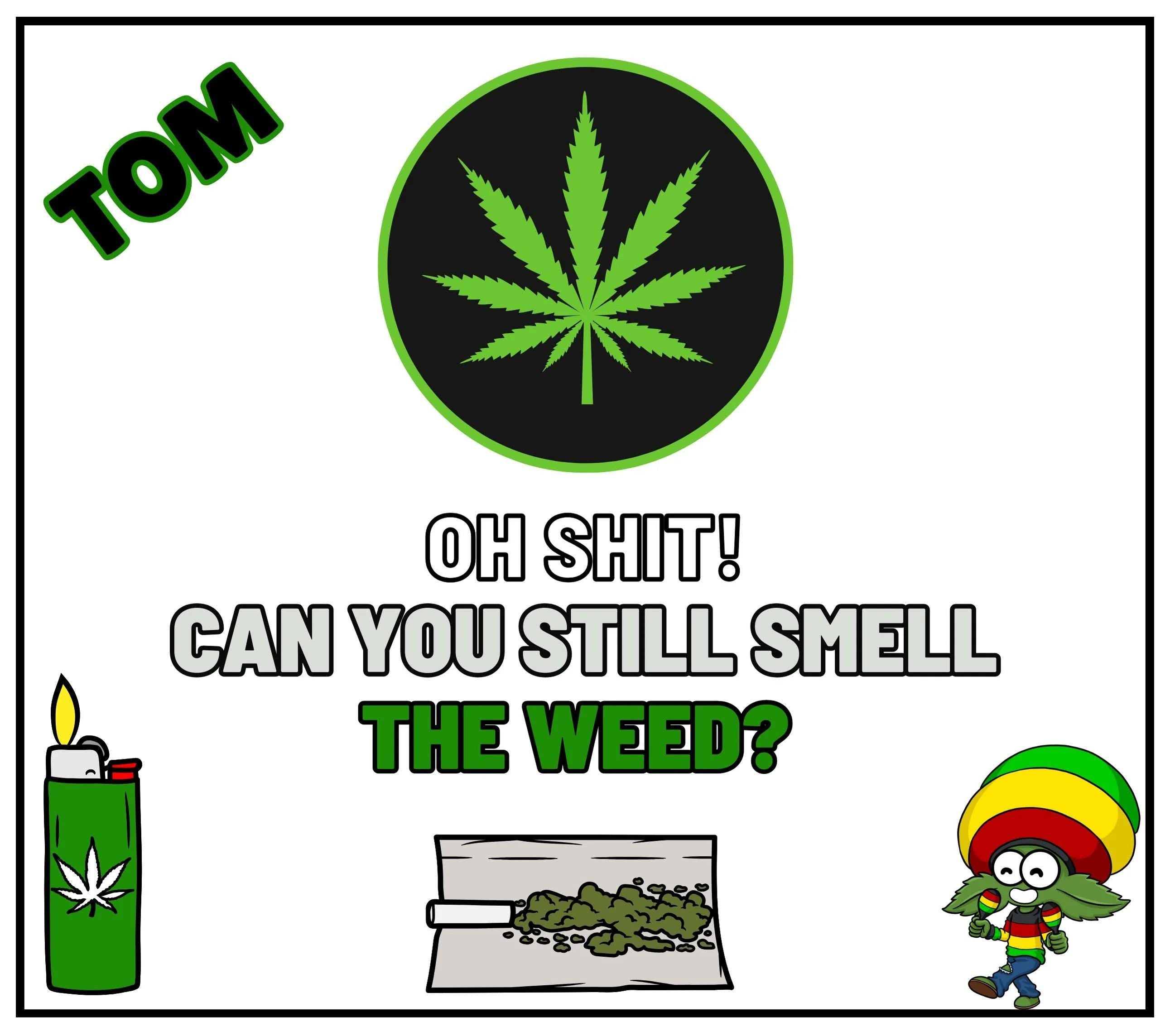 Weed Smokers Personalised Candle | Stoners Gift | Novelty Cannabis Smell Gift | Weed Smell Joke | Boyfriend Gift | Brother Gift | Spliff Etsy