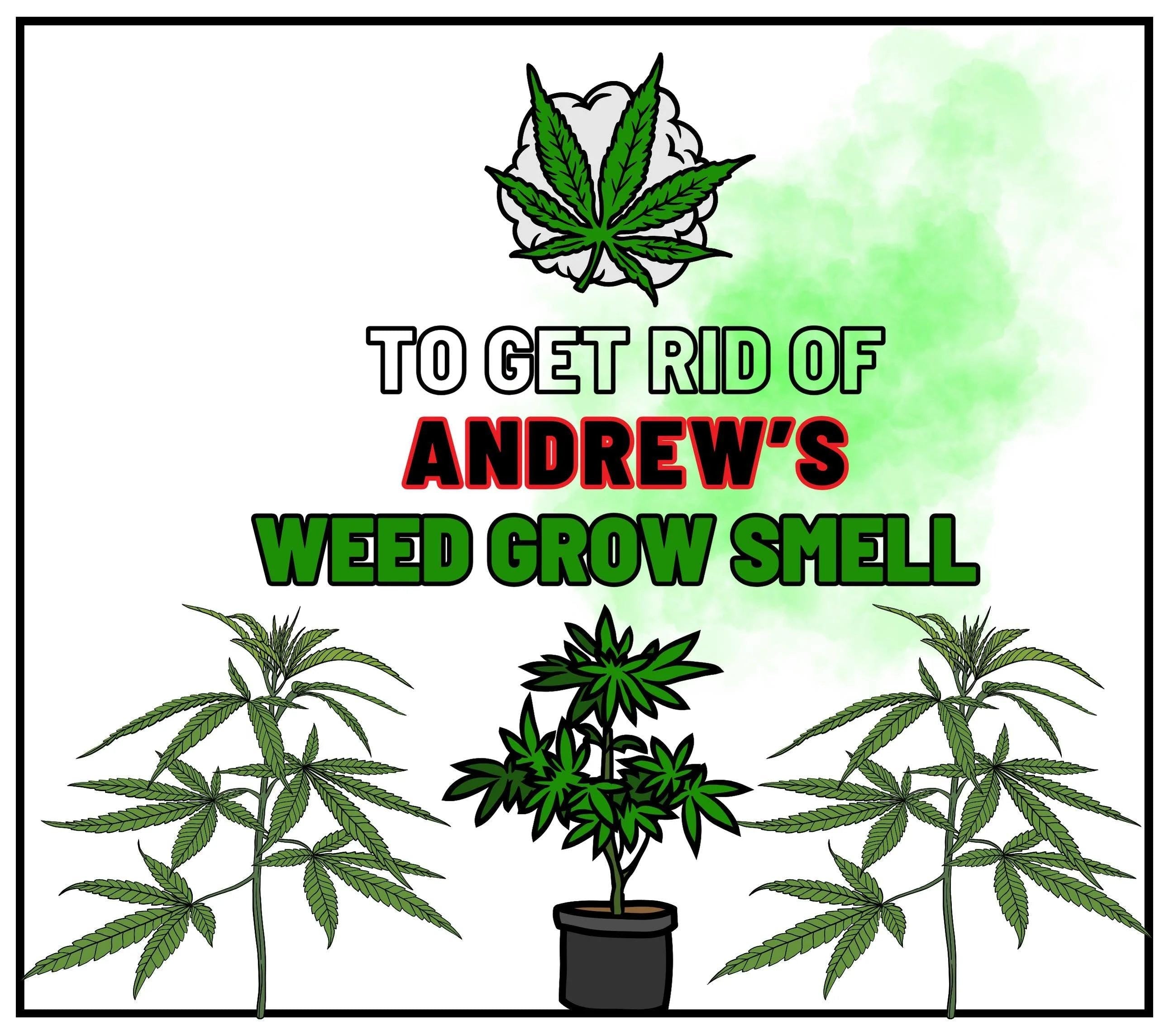 Weed Grow Personalised Candle | Stoner Gift | Funny Cannabis Farm Gift | Funny Gifts for Weed Smokers | Boyfriend | Brother | Cultivation Etsy