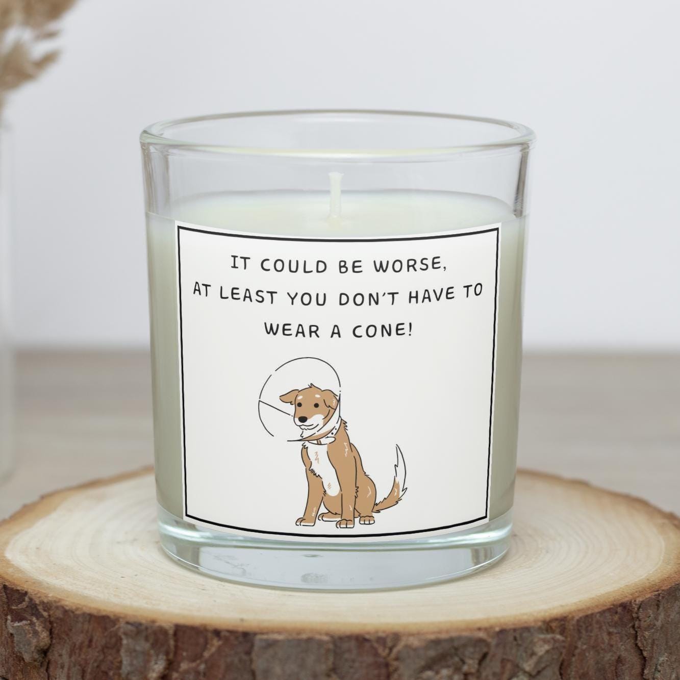 Funny Get Well Gift | Funny Post Surgery Gift | Hospital Discharge Gift | Funny Get Well Soon Candle | Comfort & Cheer Up | Funny Dog Cone Etsy