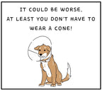 Funny Get Well Gift | Funny Post Surgery Gift | Hospital Discharge Gift | Funny Get Well Soon Candle | Comfort & Cheer Up | Funny Dog Cone Etsy