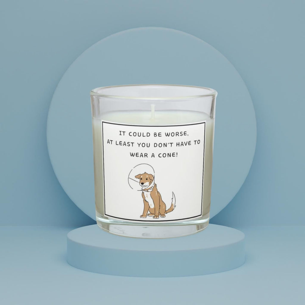 Funny Get Well Gift | Funny Post Surgery Gift | Hospital Discharge Gift | Funny Get Well Soon Candle | Comfort & Cheer Up | Funny Dog Cone Etsy