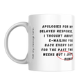 Apologies for My Delayed Response Mug – front view